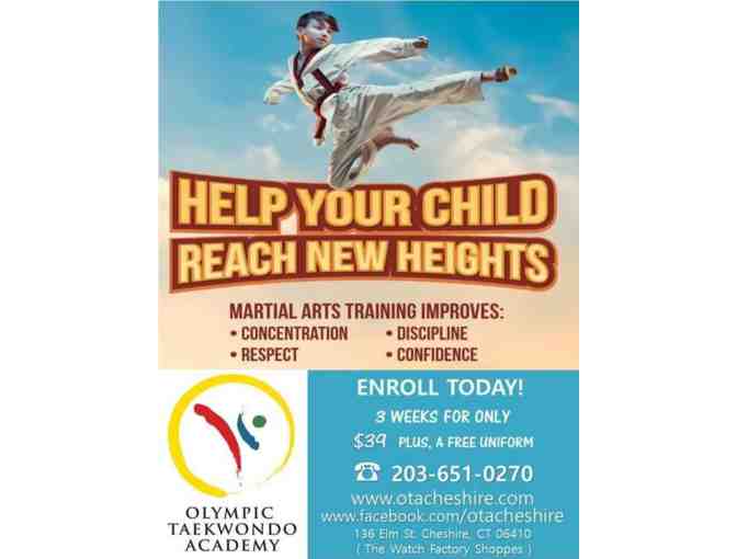 One month membership Olympic Taekwondo 2