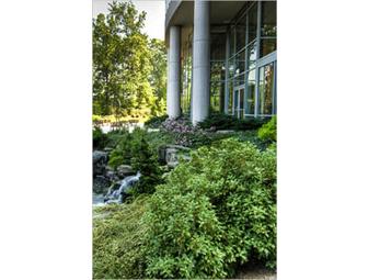 2941 Restaurant Dinner For Four