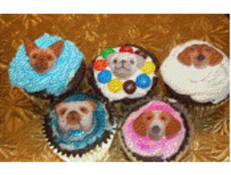 3 Months of Cupcakes from Caroline's Cupcakes