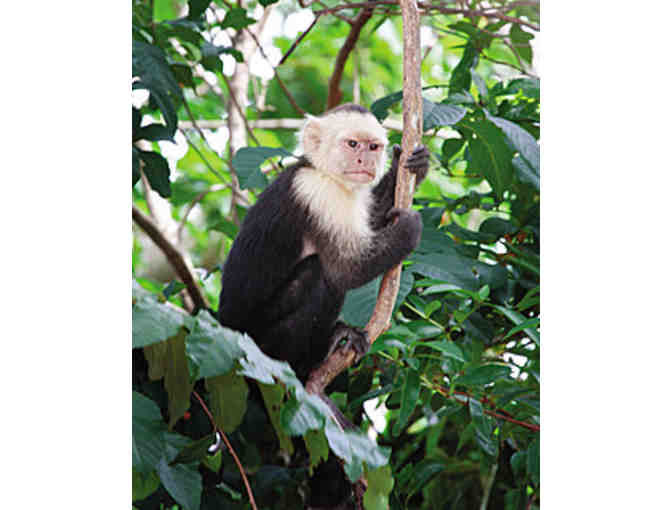 Costa Rica Getaway: Includes 5-Night Stay and Airfare for 2