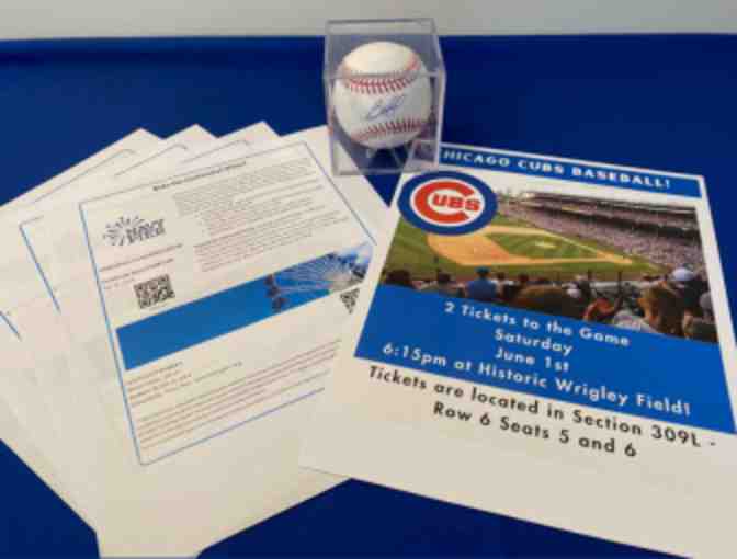 Take Me Out to the Cubs Game! - Photo 1