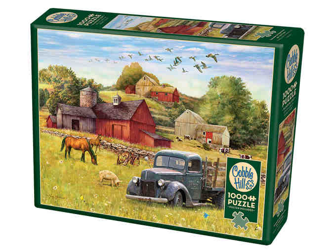 Puzzles - Three Assorted Puzzles - Ages 8+