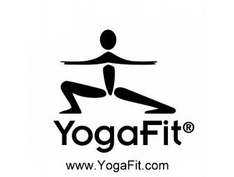 Wellness Package - Yoga Certificate and Chiropractor