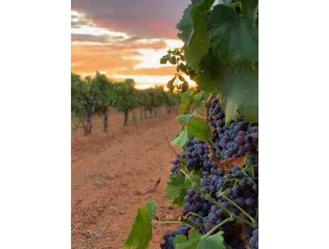 Reddy Vineyards Texas Wine Tasting and Private Tour