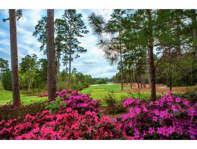 Ultimate 5-Star Texas Road Trip for 8 to Bluejack National and Long Cove
