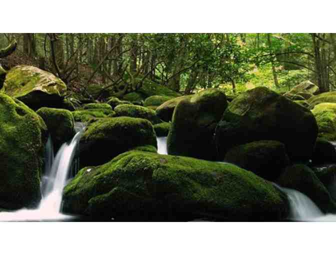 Vacation-Condo Rental - 5 night stay - Multiple Locations