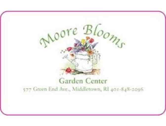 Boston Flower Show/Gardening
