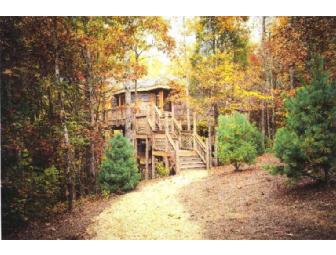 Bluegreen's Treehouse at Shenandoah Crossing - Gordonsville, Virginia