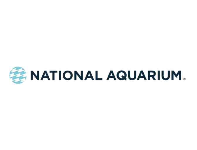 National Aquarium Baltimore Tickets for 4 - Photo 1
