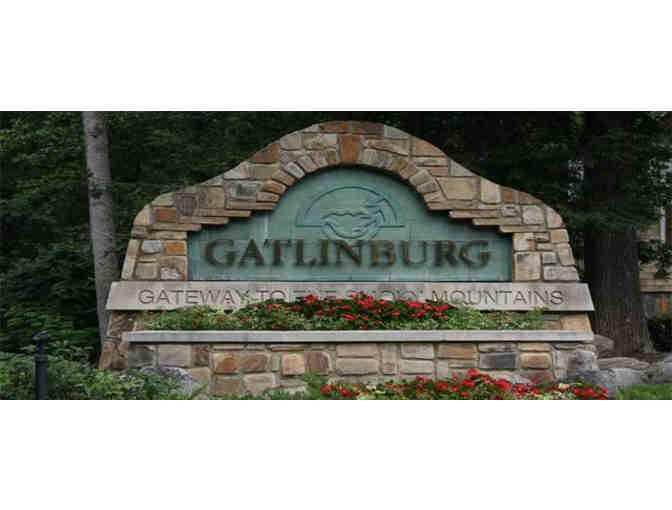 Smokey Mountain Getaway- Gatlinburg for 10 guests for Jan. 21-23rd 2022