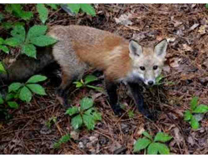 Virginia Living Museum - Two (2) Admission Tickets