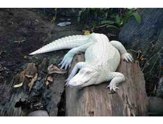 North Carolina Aquariums Basket - Two (2) Complimentary Tickets in Basket