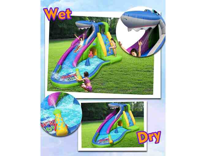 Sharks Club - Action Air - Donated by the Kindergarten Class of 2026