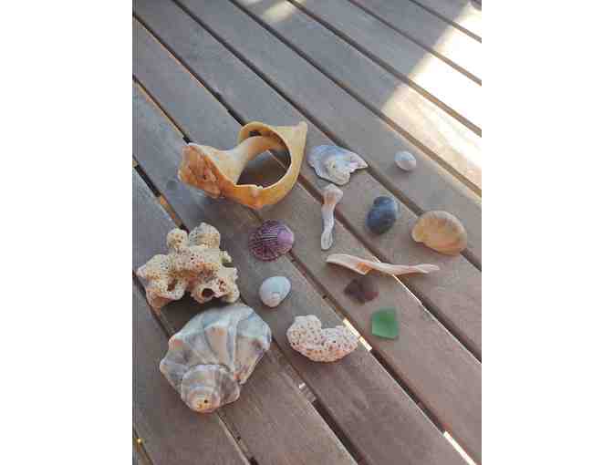 Beach House - Avon, North Carolina 'The Good Life'