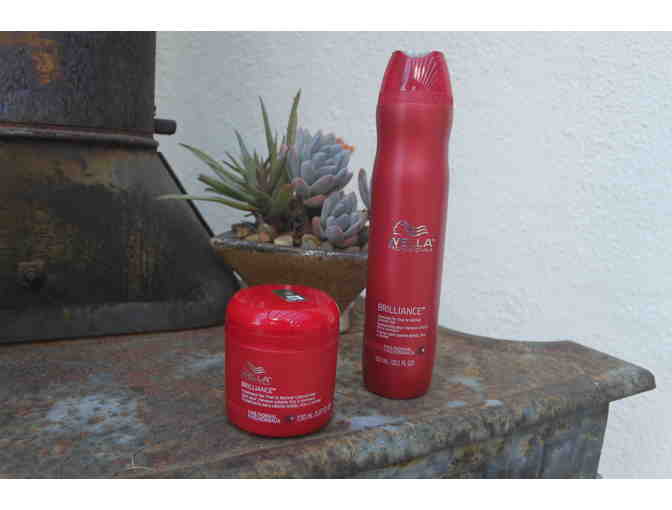 Wella Brilliance Shampoo and Treatment for Fine to Normal Colored Hair