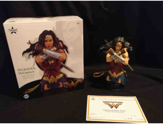 Collectibles--WB 5-pc Wonder Woman Set, Numbered Bust, Preproduction and Rare Items