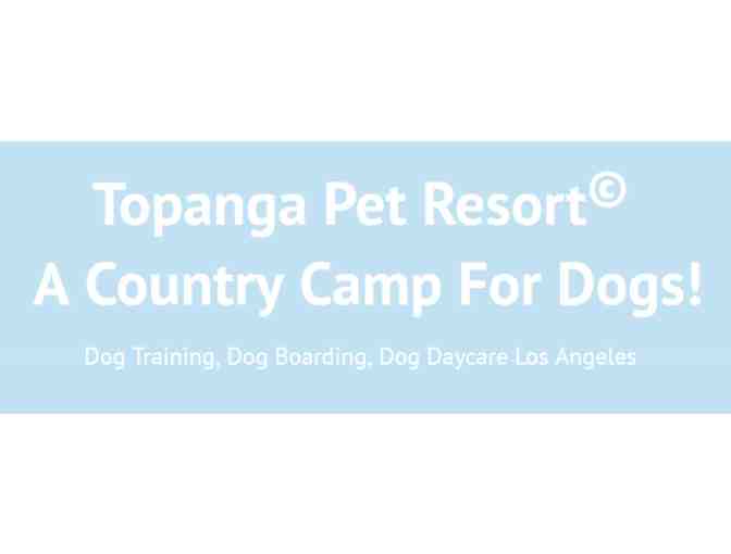 Gift Certificate--Topanga Pet Resort Two Nights Dog Boarding