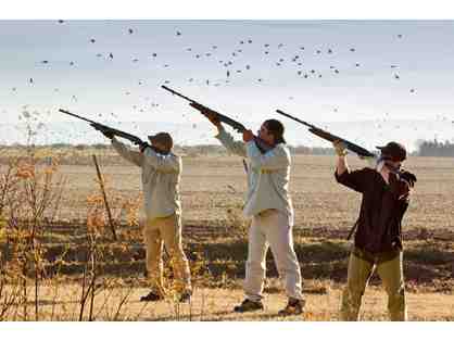 Argentina Dove Hunt for 5-Hunters, 5-Days