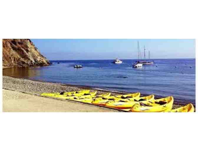 2 hour Leopards & Lions Kayak Tour for 2 persons on Catalina Island