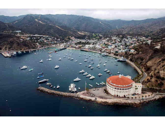 1.5 Hour Aiport-In-the-Sky Jeep Tour, Catalina Island - Photo 6