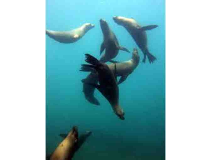 2 hour Kayak Snorkel Tour for 2 persons on Catalina Island