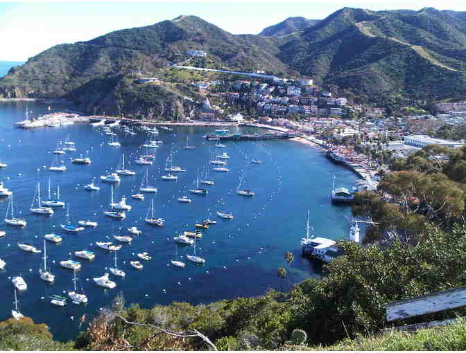 3 Hour Jeep Eco Tour of Catalina Island for 2 people + Beautiful Throw of Catalina Island