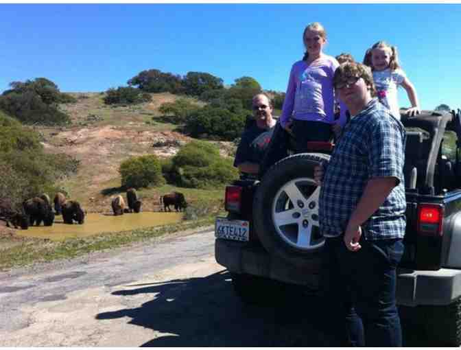 2.5 Hour Bison Jeep Eco Tour for up to Six People on Beautiful Catalina Island