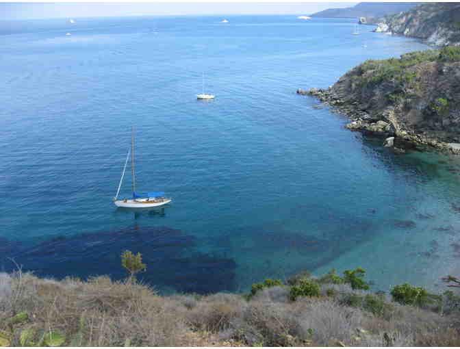 Dolphin Tour at Catalina Island for 4 Persons - Photo 7
