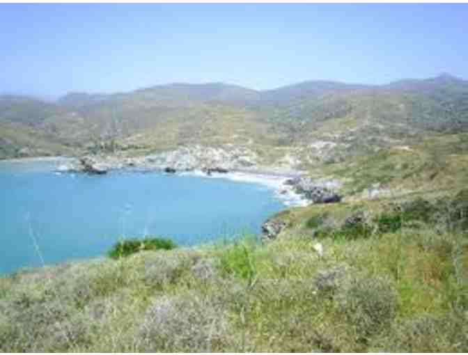 1.5 Hour Taxi Tour of the Interior of Catalina Island for up to Six People