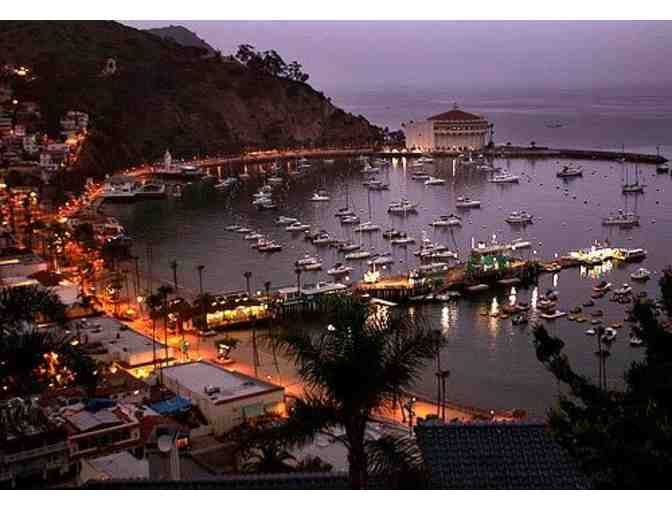 1.5 Hour Taxi Tour of the Interior of Catalina Island for up to Six People