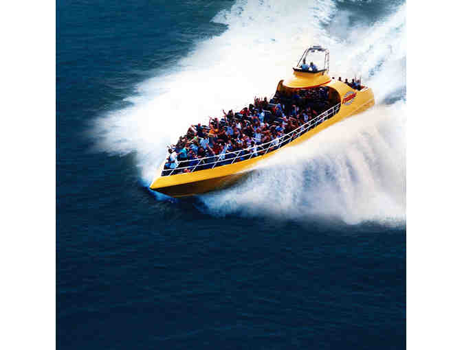 Two Harbors Day Trip for up to 4 People with Transportation, Private Palapa & Lunch