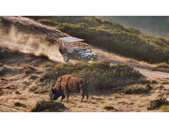 Bison Expedition for Two on Catalina Island - Photo 3