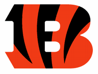 Bengals Football used by Kicker, signed by Carson Palmer