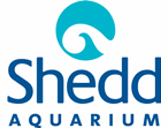 CHICAGO MUSEUM PACKAGE