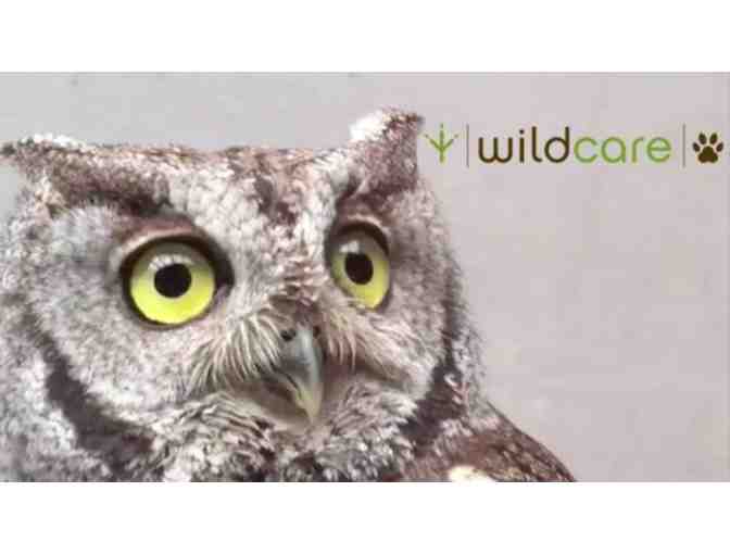 Guided tour of WildCare for a maximum of 20 guests