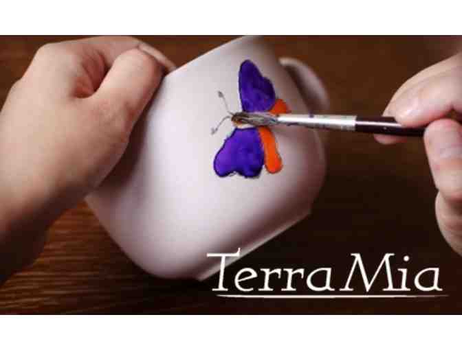 VIP Studio Session Pass to Terra Mia Ceramics
