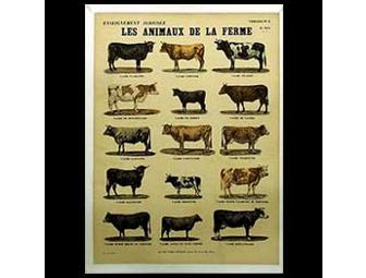 'Les Animaux De La Ferme' 1940s Vintage French Poster, Cows
