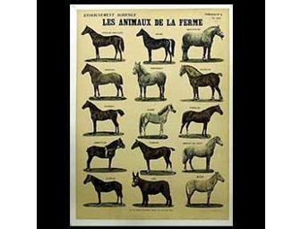 'Les Animaux De La Ferme' 1940s Vintage French Poster, Horses
