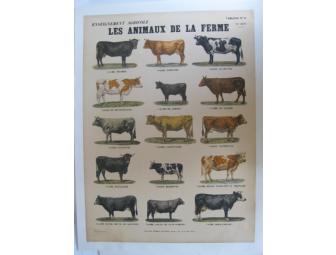 'Les Animaux De La Ferme' 1940s Vintage French Poster, Cows