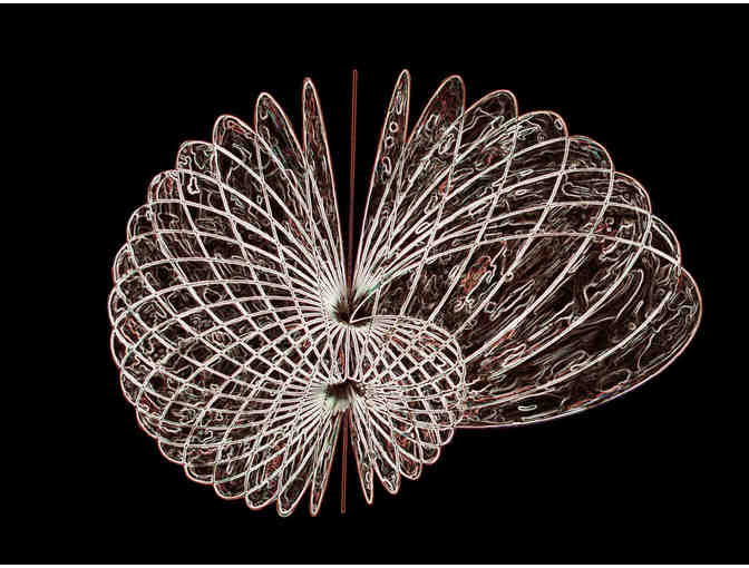 Agnes Denes: Snail Butterfly Crochet - Photo 1