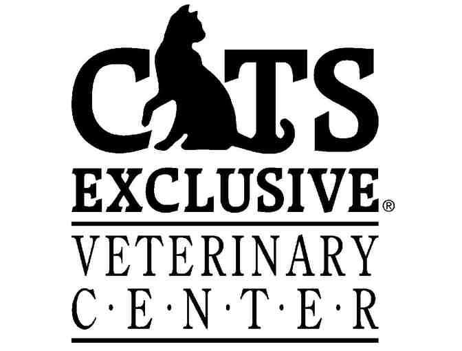 Gift Certificate for Feline Physical Examination