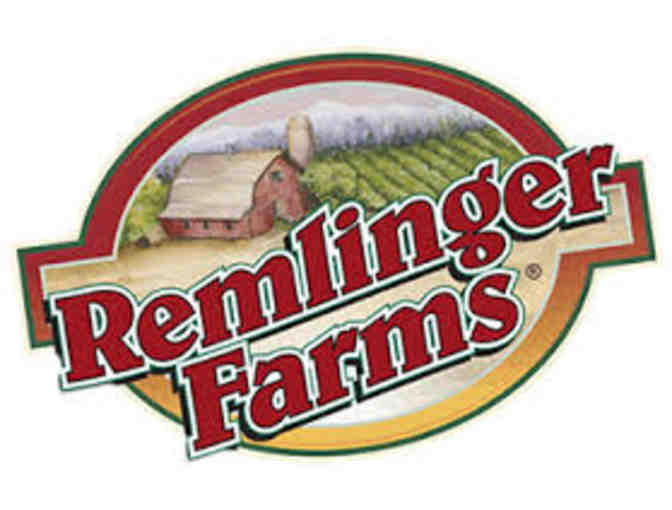 Remlinger Farms Family Fun Park Admission (4)