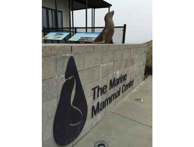 Marine Mammal Center Docent-Led Tour - Gift Card