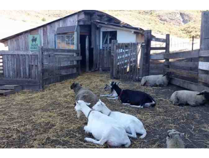 Slide Ranch Spring Fling on April 27th