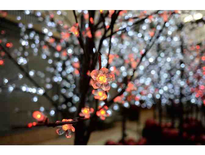 California Academy of Sciences