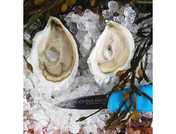 Mook Sea Farm Oyster Tour/Tasting
