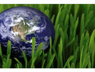 TradeWinds Island Resorts - St Pete Beach Florida