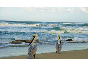 Tarpon Lodge Weekend, Pine Island FL