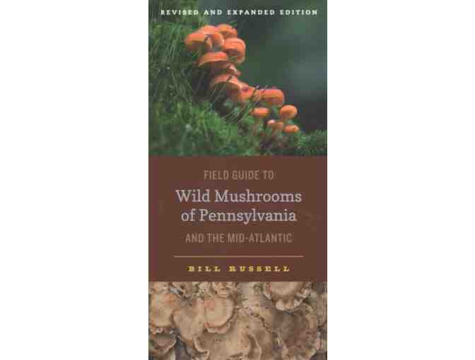 Wild Mushroom Foraging Walk with Mark Johnson
