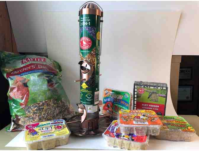 Bird feeders and food from Ace Hardware